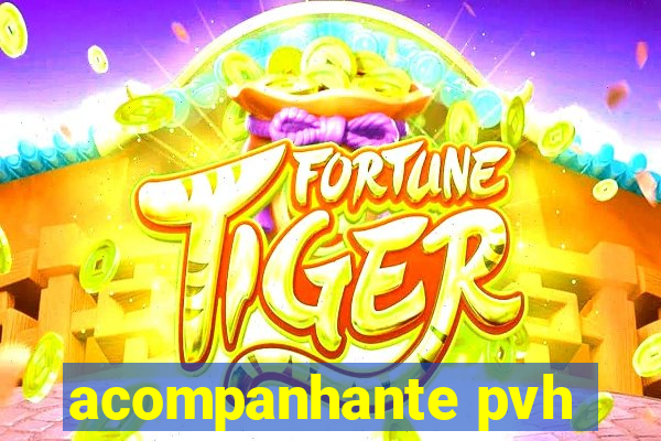 acompanhante pvh